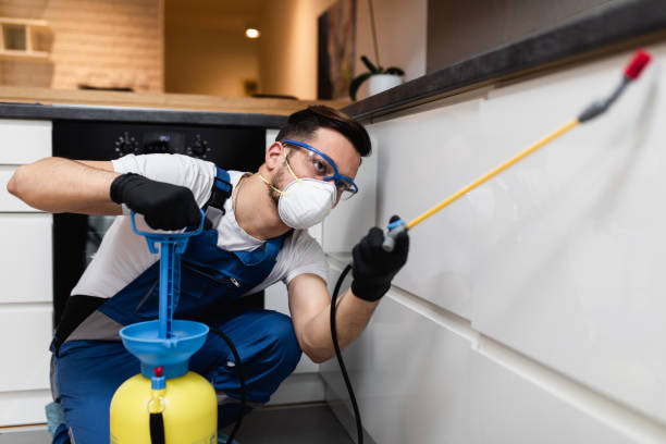 Best Pest Inspection Near Me  in South Riding, VA