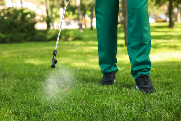 Best Pest Control Treatment  in South Riding, VA
