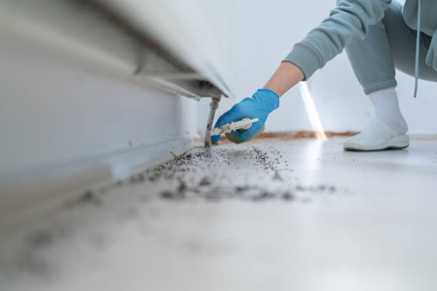Best Bed Bug Extermination  in South Riding, VA